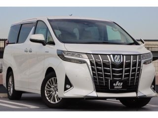 TOYOTA ALPHARD  GF Package