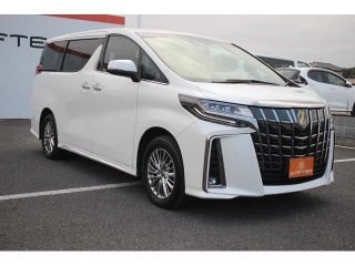 TOYOTA ALPHARD S-Type Gold II