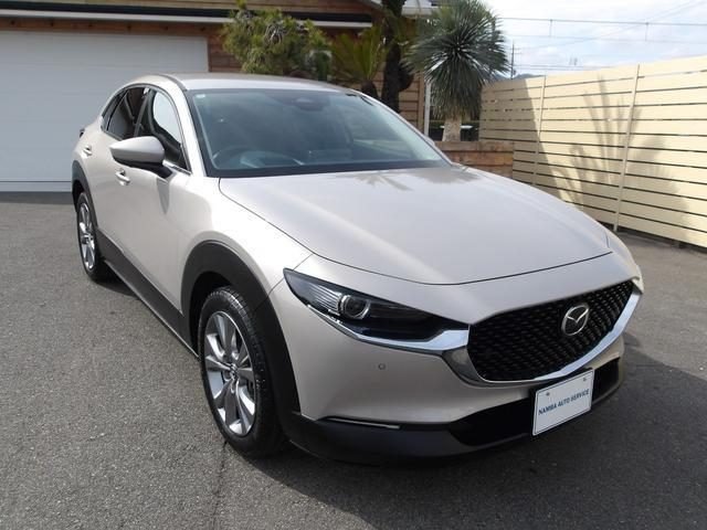MAZDA CX-30 Omnidirectional monitor