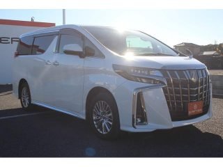 TOYOTA ALPHARD S-Type Gold II