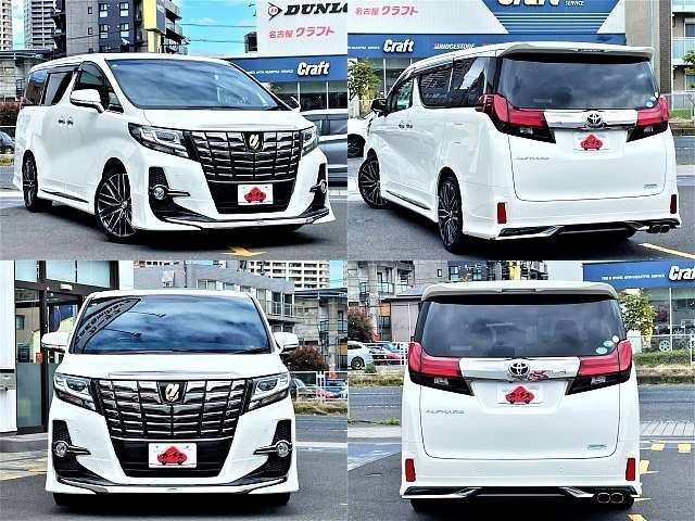 TOYOTA ALPHARD S_APk Type: Black