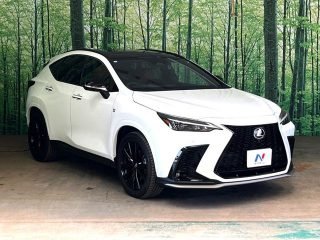 LEXUS NX F-Sport
