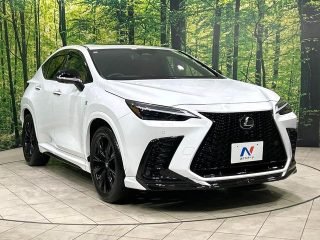 LEXUS NX  F-Sport