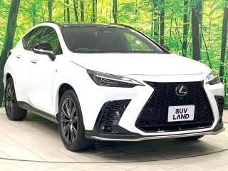 LEXUS NX F-Sport