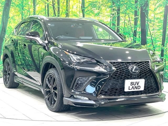 LEXUS NX F-Sport