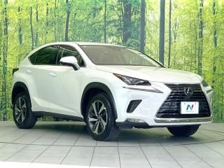 LEXUS NX I Package