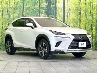 LEXUS NX I Package