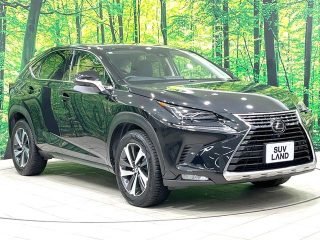 LEXUS NX I Package
