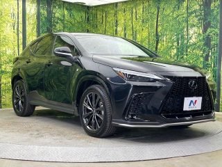 LEXUS NX F-Sport