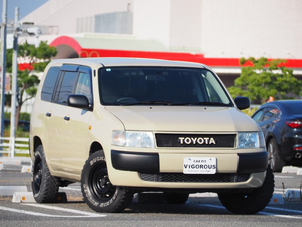 TOYOTA Probox VAN Light van