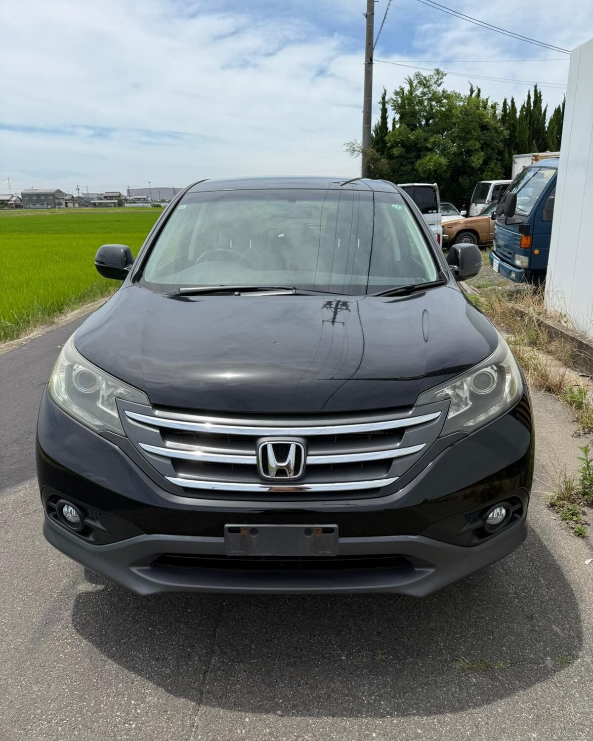 HONDA CR V