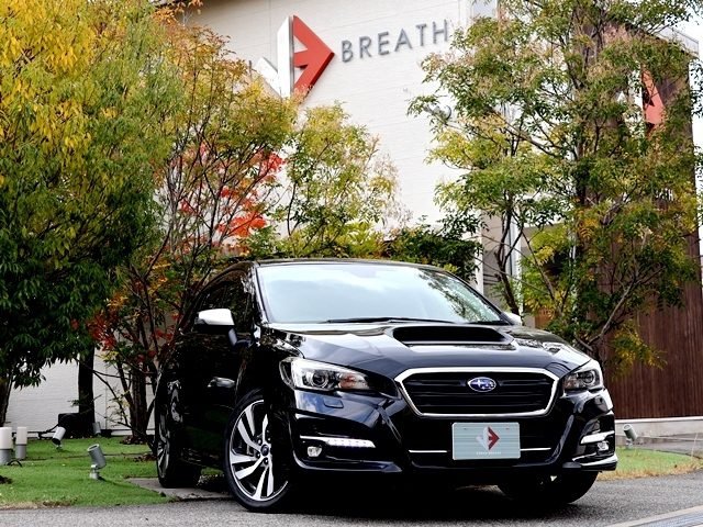 SUBARU LEVORG １．６GT-S EyeSight